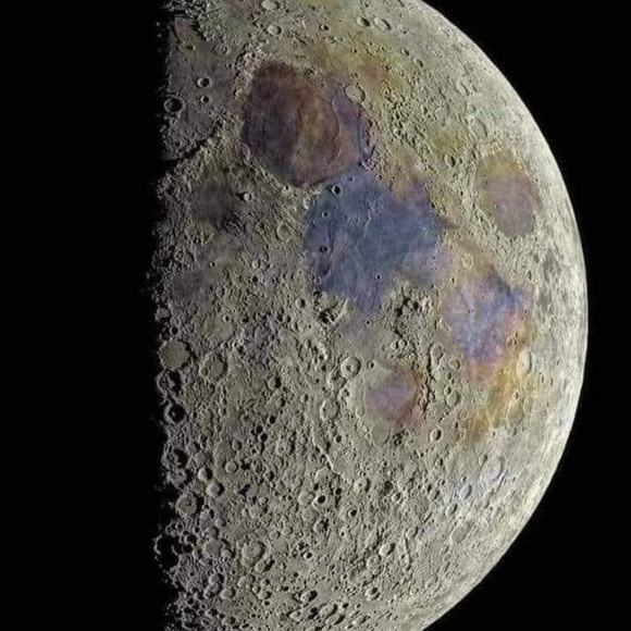 Meet your Posher, Jason - Picture 15 of 16